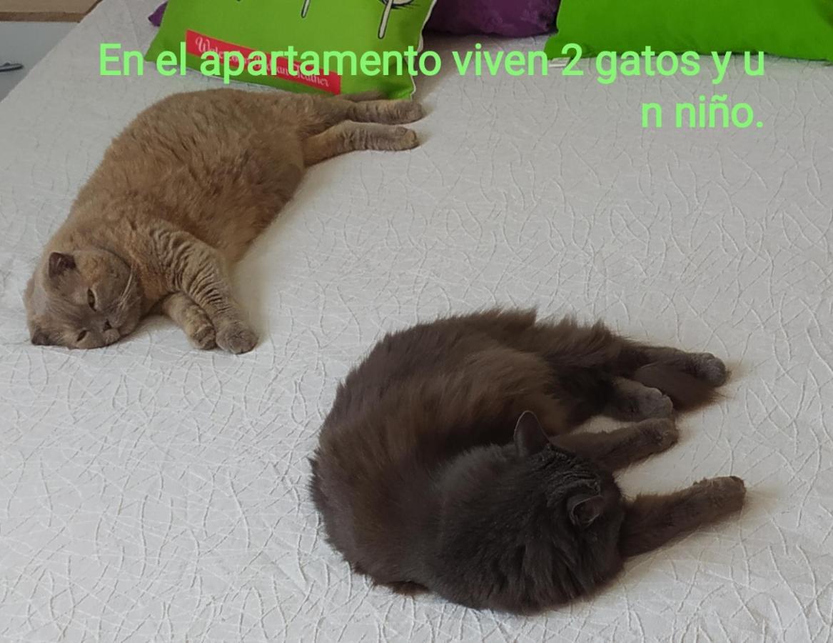 Monte Santa Barbara Justo En Frente De Usted En Un Dormitorio Privado Y Acogedor Apartment San Vicente Raspeig Bagian luar foto